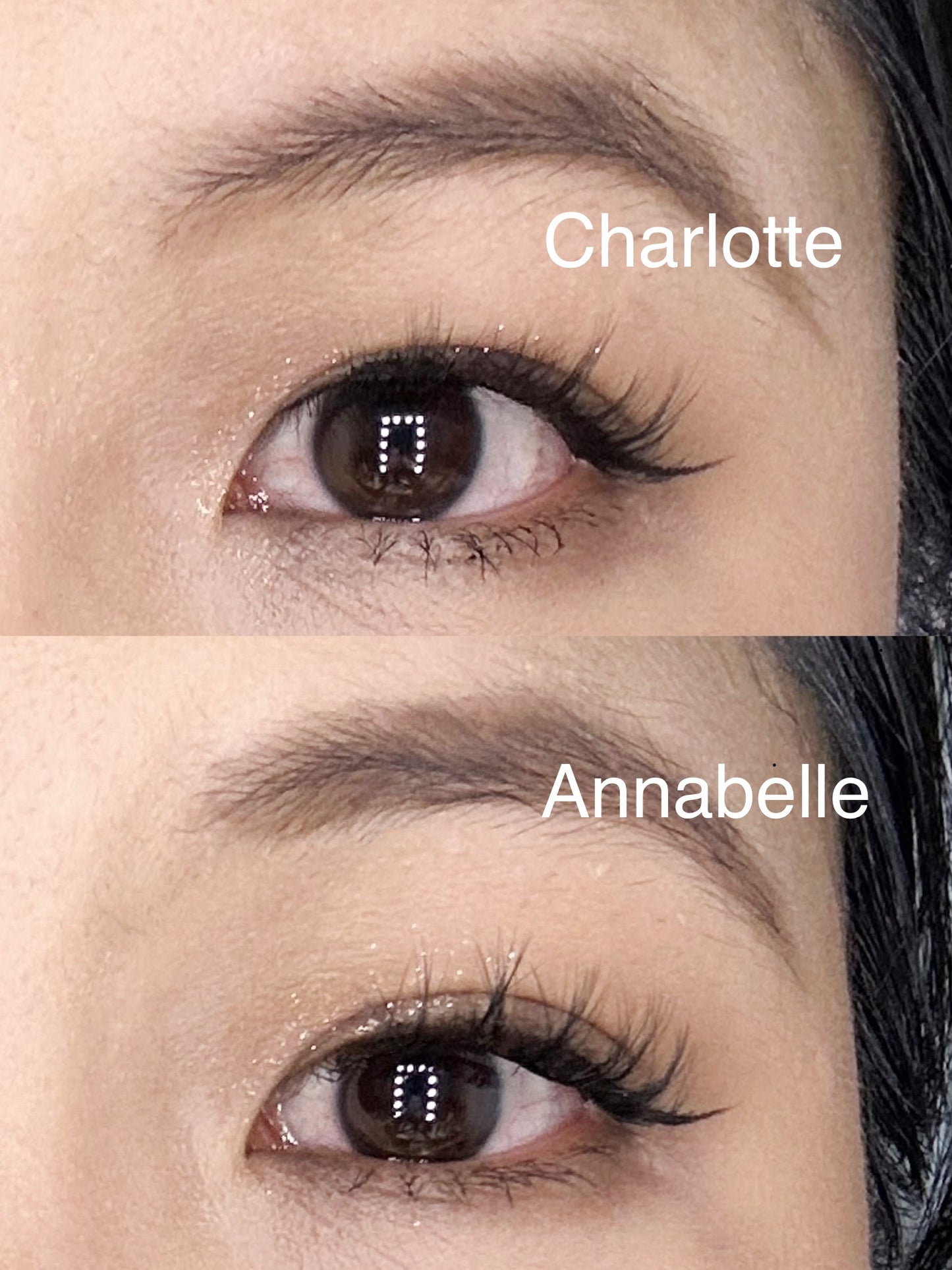 Kayshe Weekly Box - Press-on Lash Clusters